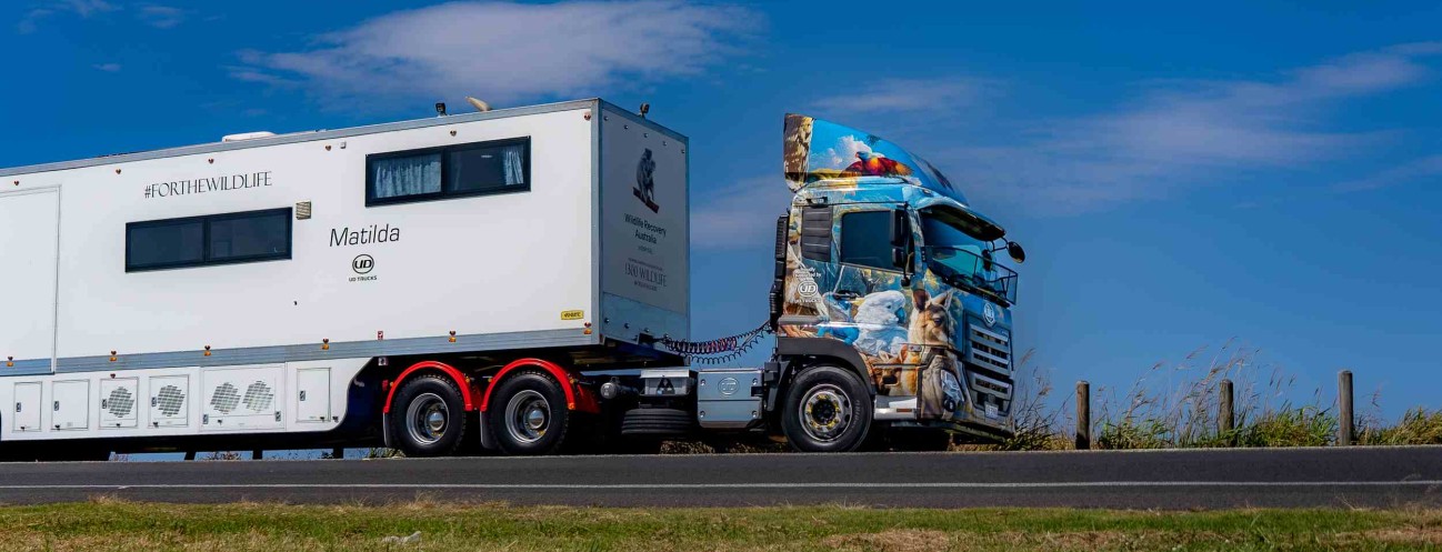 Byron Bay Wildlife Hospital